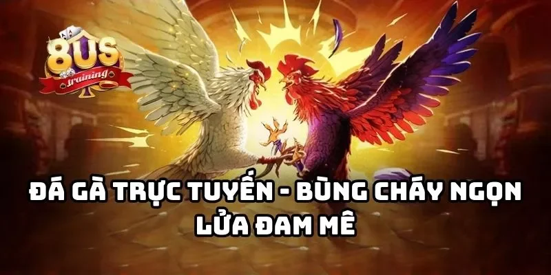 Đá gà trực tuyến - Bùng cháy ngọn lửa đam mê